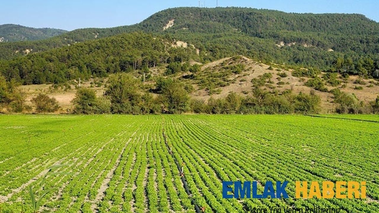 Toprak yatırımcısının yeni adresi Türkiye