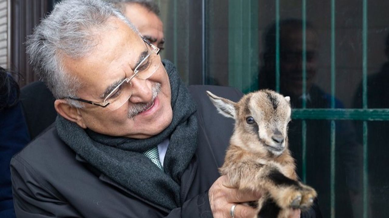 Kayseri'de hayvanat bahçesine yoğun ilgi