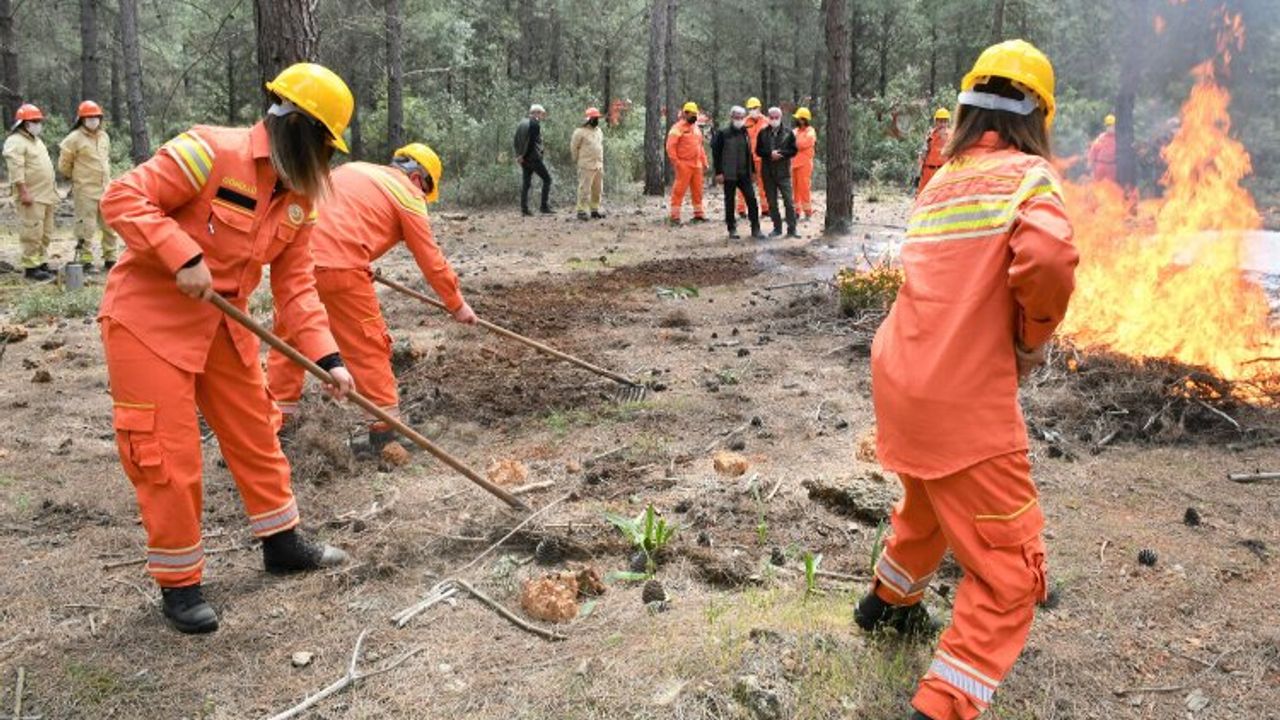 Orman yangınları yüzde 90 insan kaynaklı!