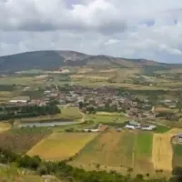 Arsa