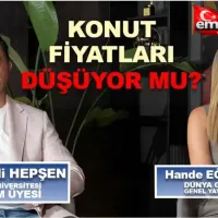 Emlak