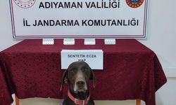 Adıyaman'da narkotiğin hassas burnu Leydi yakaladı!