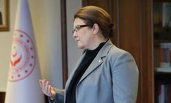 Çocuklara yönelik şiddet içeriğine Bakanlık freni