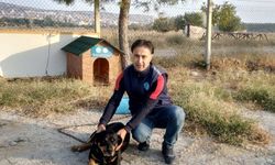 Manisa'da sokakta bir can daha yeni yuvasına kavuştu