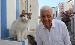 Muğla'da Sokak Hayvanları Çalıştayı yapıldı