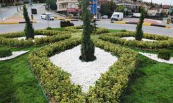 Sakarya dokunduğu her yere renk katıyor
