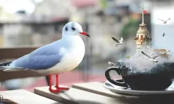 İstanbul'da Yeni Sözleşme Dönemi: Aylık Daire Kiralama