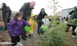 OGM, Milli Ağaçlandırma Günü için tüm hazırlıkları tamamladı