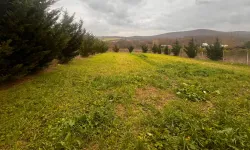 Çatalca’da Arsa Almanın Avantajları ve Yatırım Potansiyeli