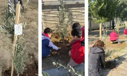 Kervan’dan  Anlamlı Sosyal Sorumluluk Projesi;  “Okul Bahçeleri Zeytin Bahçeleri Olsun”