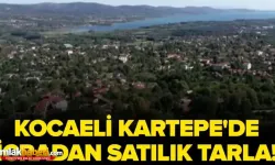 Kocaeli Kartepe'de 2591m² tarla mahkemeden satılacak