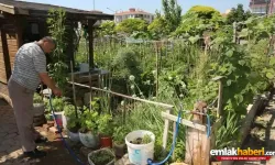 Tarımda Çöküş: Şimdi de Hobi Bahçeleri Hedefte