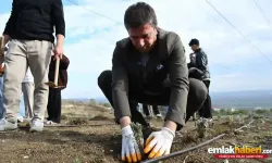 Çatalca'da Lavanta Bahçesi Hayali Çöplüğe Döndü