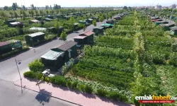 Türkiye geneli Hobi bahçesi sahiplerine kötü haber!