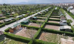 Hobi Bahçesi Değil, Asıl Mesele Gıda Güvenliği mi?