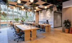 Kollektif House ile Gezgin Üyelikte Özgür Çalışma Dönemi