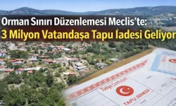 Orman Sınırı Düzenlemesi Meclis’te: 3 Milyon Vatandaşa Tapu İadesi Geliyor