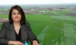 Tarım Arazilerinde Yeni Dönem Kaçak Yapıya “Sıfır Tolerans”