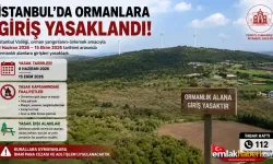 İstanbul’da Ormanlara Giriş Yasaklandı: 8 Haziran – 15 Ekim Arasında Sıkı Tedbirler Uygulanacak