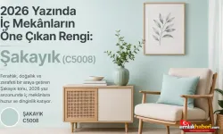 2026 Yazında İç Mekânların Öne Çıkan Rengi: Şakayık (C5008)