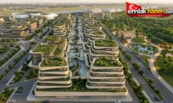 Mental Design Works'ten WAF'ta Üst Üste Uluslararası Başarı!