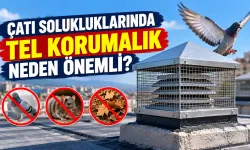 Bina Çatı Solukluklarındaki Tel Korumalıklar Neden Önemli?