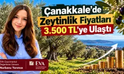 Çanakkale Tarım Arazilerinde Fiyat Artışı Dikkat Çekiyor
