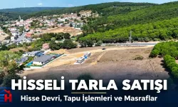 Hisseli Tarla Nasıl Satılır? Hisse Devri, Tapu İşlemleri ve Masraflar