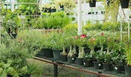 Peyzaj Sektörü İzmir'de Buluşuyor
