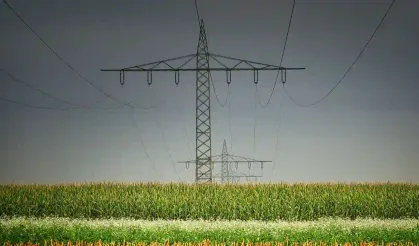 Tapu Belgesinde Pilon Yeri Nedir Ne Anlam İfade Ediyor