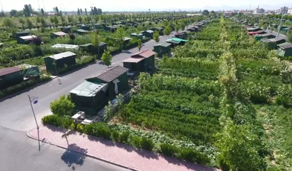 Hobi Bahçelerine Yeni Düzenleme Geliyor: Villa Tipi Yapılara Yıkım, Uygun Alanlara Koruma