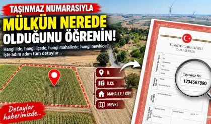 Tapudaki Taşınmaz Numarası Ne İşe Yarar? Mülkün Konumu Nasıl Bulunur?