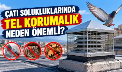 Bina Çatı Solukluklarındaki Tel Korumalıklar Neden Önemli?