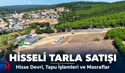 Hisseli Tarla Nasıl Satılır? Hisse Devri, Tapu İşlemleri ve Masraflar