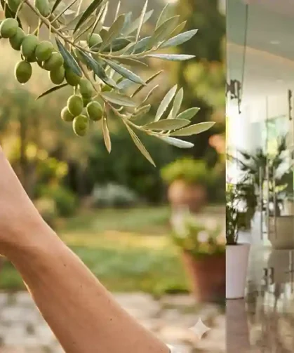 Susona Bodrum’a Küresel Ölçekte Sürdürülebilirlik Ödülü