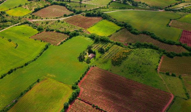 İstimlak Nedir? Nereler İstimlak olur ?