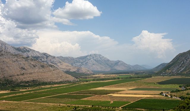 Tarımsal arazilerin kiralanması nasıl yapılacak