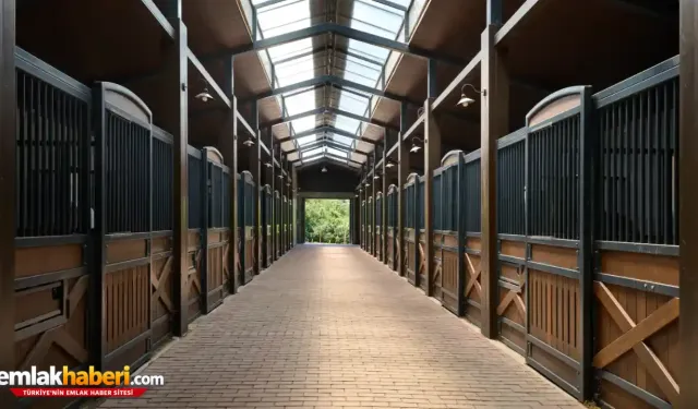 Equine Design Studio Turizm Sektörüne Binicilik Deneyimi Katıyor