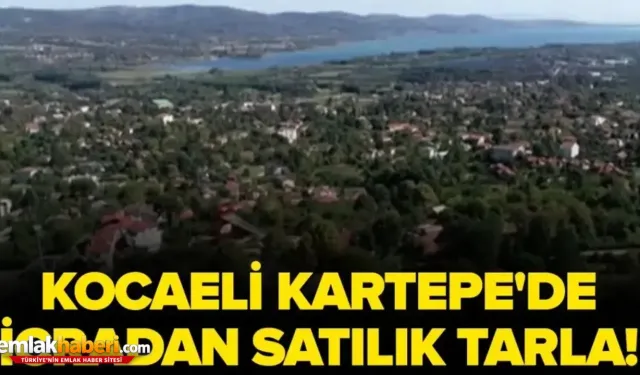 Kocaeli Kartepe'de 2591m² tarla mahkemeden satılacak