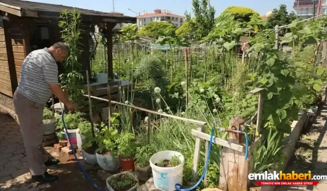 Hobi Bahçeleri: Tarımı Katleden mi, Yoksa Yanlış Politikaların Kurbanı mı?