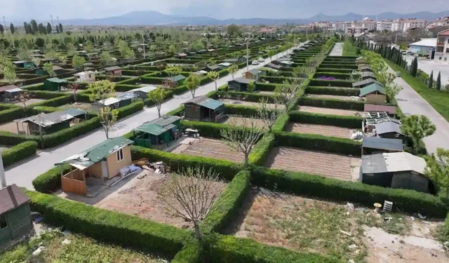 Hobi Bahçesi Değil, Asıl Mesele Gıda Güvenliği mi?