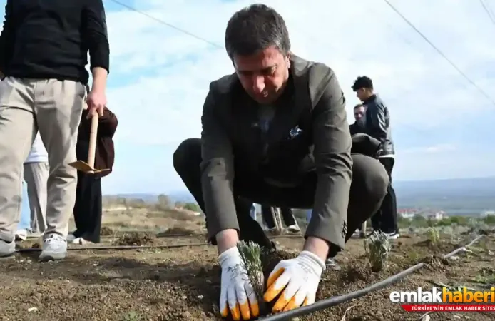 Çatalca'da Lavanta Bahçesi Hayali Çöplüğe Döndü