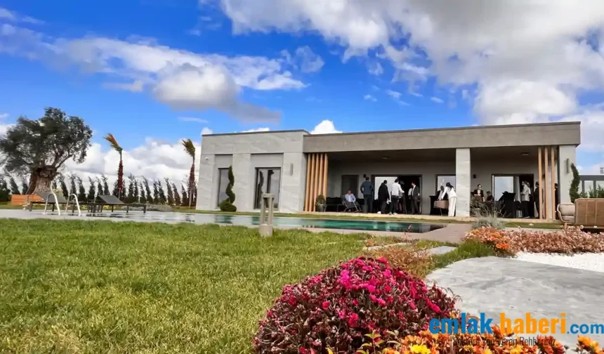 Big Country’de Yaşam Başladı