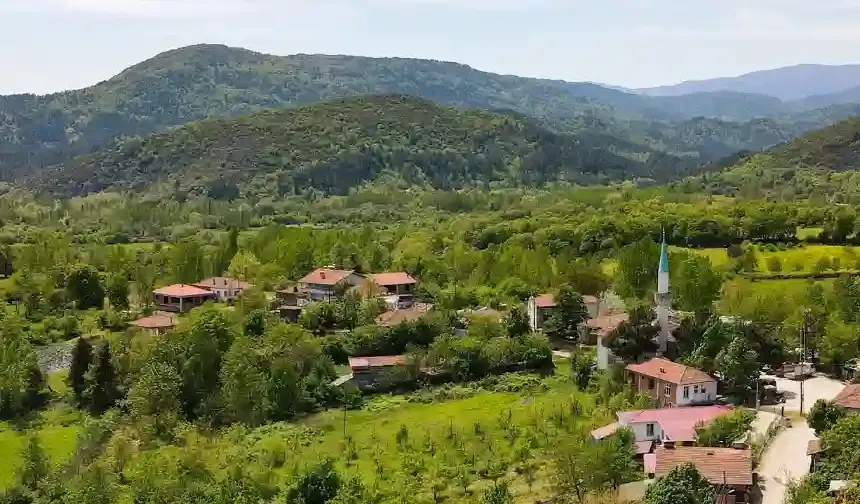 Emlak Yatırımcıları Neden Çanakkale Yenice  İlçesinde Yatırım Yapıyor