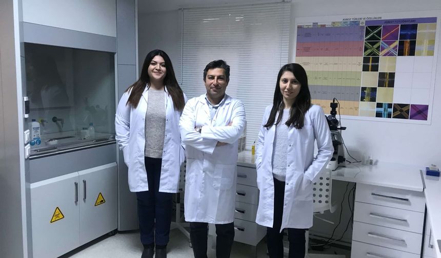 Asya Asbest Danışmanlık - Asbest Söküm ve Asbest Raporu