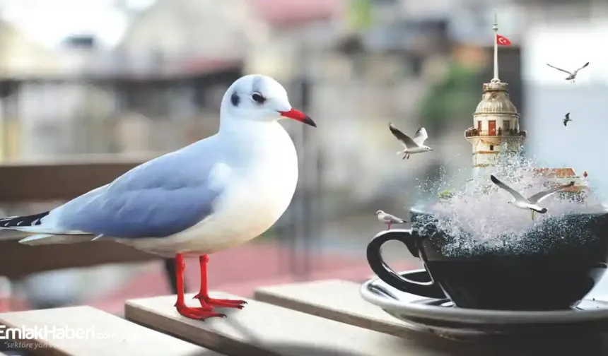 İstanbul'da Yeni Sözleşme Dönemi: Aylık Daire Kiralama