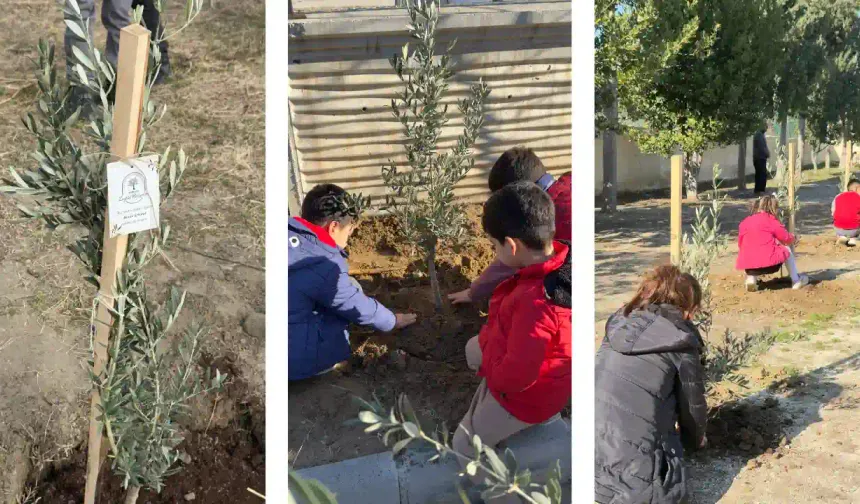 Kervan’dan  Anlamlı Sosyal Sorumluluk Projesi;  “Okul Bahçeleri Zeytin Bahçeleri Olsun”