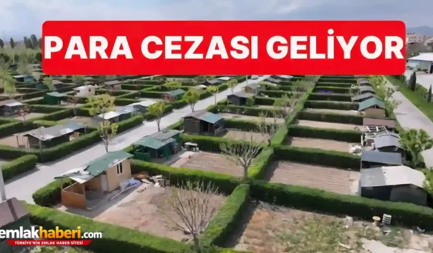 Tarım Arazilerine Kurulan Hobi Bahçelerine Yaptırım Geliyor