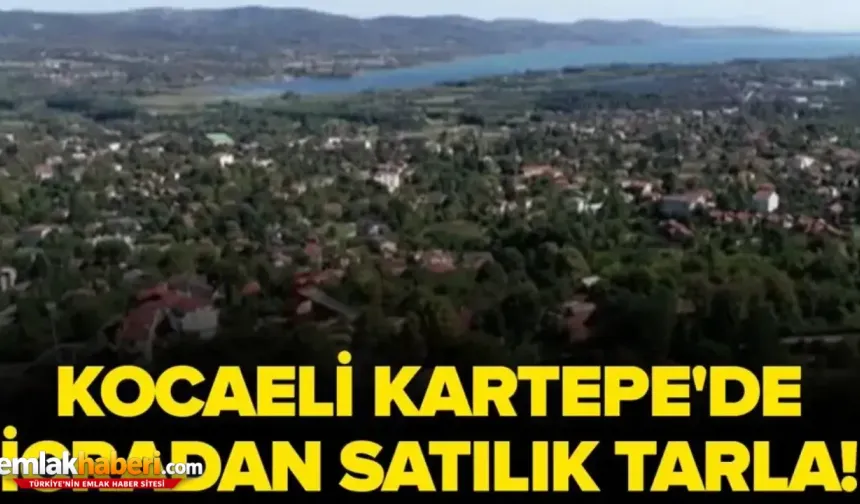 Kocaeli Kartepe'de 2591m² tarla mahkemeden satılacak