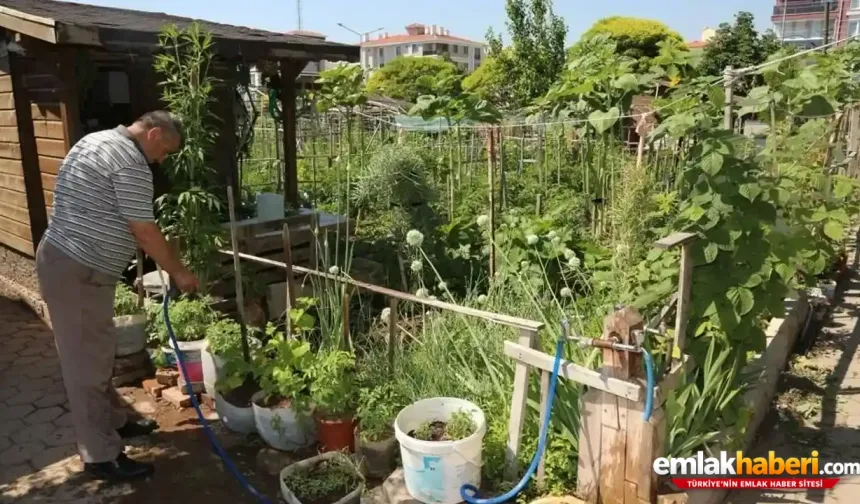 Tarımda Çöküş: Şimdi de Hobi Bahçeleri Hedefte